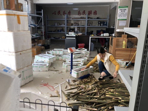 湖北房縣 強化為農(nóng)服務(wù) 助力鄉(xiāng)村振興