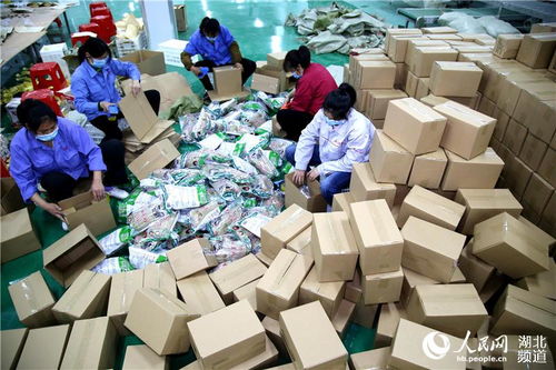 湖北鄖陽 電商復工發(fā)貨忙