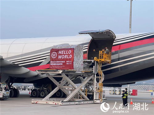 湖北打造國際一流航空貨運樞紐 加快建設(shè)內(nèi)陸自由貿(mào)易港