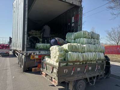 我區(qū)又有27.1噸新鮮蔬菜運(yùn)往湖北