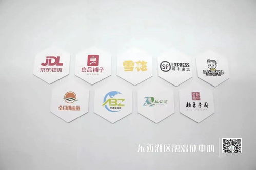 臨空港9家企業(yè)亮相武漢電博會