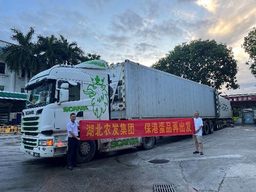 湖北農發(fā)集團主動融入 雙循環(huán) 助力農產品供應鏈安全穩(wěn)定