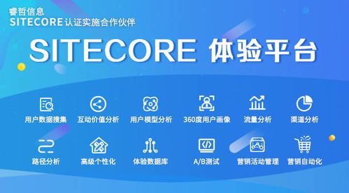 睿哲信息揭秘 榮登gartner的sitecore如何打造個(gè)性化購(gòu)物體驗(yàn)